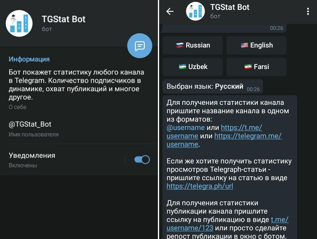 Полезные боты Телеграм: TGStat_Bot
