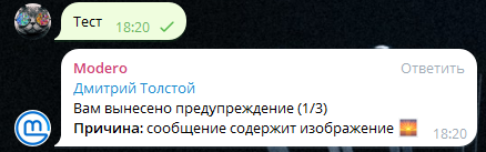 Проверка работоспособности подключенного бота